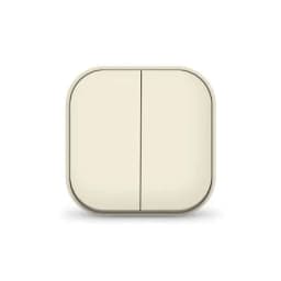 Выключатель 2-кл. 1п ОП 10А IP20 сл. кость IONICH 1425