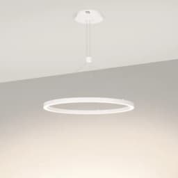 Светильник SP-CONGO-CAN-1-R600-36W Day4000 (WH, 120 deg, 230V) (Arlight, IP20 Металл, 5 лет)