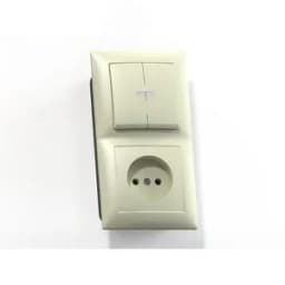 СЕЛЕНА Блок комбинированный с/у выключатель 2-хклавишный с подсв.+розетка 2К БКВР-418, сл.кость