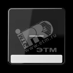 Клавиша с окошком для выключателя с подсветкой и полем для надписи черная JUNG