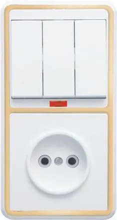 Блок БКВР-212 Бэлла (3-кл. выкл. с инд. + розетка) зол. Кунцево 5842