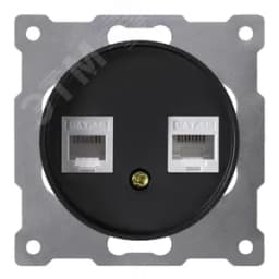 Розетка двойная компьютерная RJ45 кат.5e, цвет чёрный (серия Florence) 2172818 ССТ