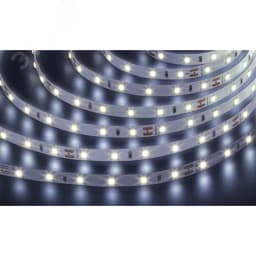 Лента светодиодная NLS-2835CW60-4.8-IP20-24V 5м Navigator Group