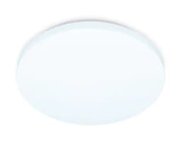 Потолочный светодиодный светильник Ambrella Light FZ1006