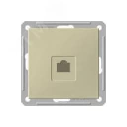 W59 Розетка компьютерная скрытая в рамку шампань RSI-152K5E-4-86 Systeme Electric