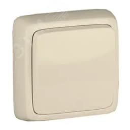 Выключатель одноклавишный наружный с изоляционной пластиной слоновая кость 10А