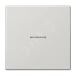 Клавиша 1-я для выключателей и кнопок с окошком для подсветки. Серия LS990 Материал- дуропласт Цвет- светло-серый