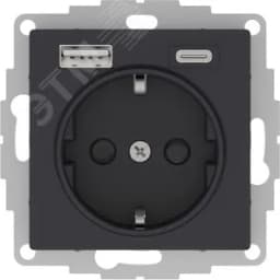 РОЗЕТКА 16А c 2 USB A+С, мех, КАРБОН