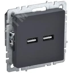 BRITE Розетка USB A+A 3.1А РЮ10-1-БрГ графит BR-U21-D31-K53 IEK