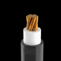 Кабель силовой ВВГнг(А)-FRLS 1х50 мк-0,66 Кабэкс